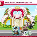  , , 37  -  5  2011   PetLove