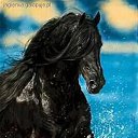 ���� �����, ���������, 52 ���� - ��������� 22 ������� 2012