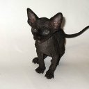 ���� ������, �����-���������, 47 ��� - ��������� 16 ������ 2011 � ������ ������� 2011�