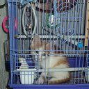 ���� &bull;&deg; ������ &deg;&bull;, ������ - ��������� 8 ������ 2013 � ������ ���� ����������