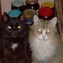 ��� ������� �� ������� �������