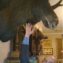 ���� ���������, ������, 51 ��� - ��������� 15 ������ 2012 � ������ ���� ����������