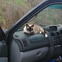 ���� Vadim, ������� ������ - ��������� 9 �������� 2012 � ������ ����� � ����