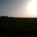 Made in Ukraine �� ������� �������