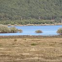 ���� �����, �����, 38 ��� - ��������� 3 ������� 2011 � ������ ������������