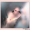 ���� ����), ���������� - ��������� 8 ������� 2009 � ������ �@}-}--�