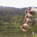 ���� �������, ���������, 46 ��� - ��������� 26 ���� 2012 � ������ �������