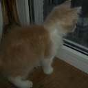 ���� ������, ��� - ��������� 13 ������� 2012 � ������ ������