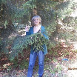 �����, ������-��-����, 53 ����