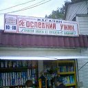 ���� ����, �������� - ��������� 24 ������ 2010 � ������ �������������