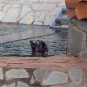 ���� ����, ������ - ��������� 13 ������ 2010 � ������ �������