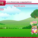 ���� ������, ��������� - ��������� 1 ������� 2010 � ������ �PetLove�