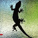 ���� ������, ������, 43 ���� - ��������� 8 ���� 2013 � ������ ���� ����������