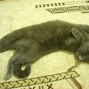 ���� ����, ��������, 52 ���� - ��������� 22 ������� 2011 � ������ �������