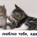 ���� �����, �����������, 41 ��� - ��������� 14 ������� 2010 � ������ ���������� ������� ������