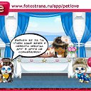 ���� ����, �����������, 58 ��� - ��������� 4 ���� 2011 � ������ �PetLove�