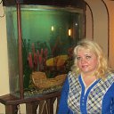 ���� �����, �������� ����, 66 ��� - ��������� 4 ������ 2012 � ������ ���� ����������