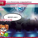 ���� ������(������), ����, 26 ��� - ��������� 18 ������ 2010 � ������ �PetLove�