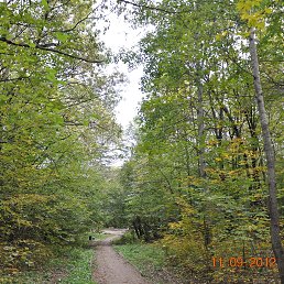 ���� �������, ������, 65 ��� - ��������� 5 ����� 2013