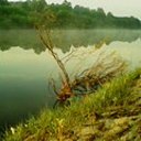 ���� ����, ������ ��������, 52 ���� - ��������� 26 ����� 2013 � ������ ���� ����������