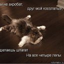 ���� Vi, ����������� - ��������� 4 ���� 2011 � ������ ��������