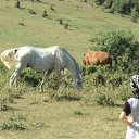 ���� �����, ������, 35 ��� - ��������� 9 ������� 2012 � ������ �������