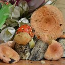  Sergey, , 65  -  4  2011    