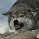 ���� �����, �����-�������� - ��������� 4 �������� 2012 � ������ �� ���� � ���� ������� ���.�