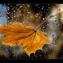 ���� Qqq, ������, 50 ��� - ��������� 23 ������� 2011 � ������ �������