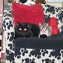 ���� ����, ������, 58 ��� - ��������� 25 ������� 2009 � ������ ���� ��������