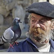 ��������, 62 ����, ������