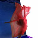 ���� ������, ������, 68 ��� - ��������� 13 ������ 2012 � ������ ���� ����ɻ