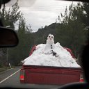 �������������� ����� ����� �� ������� �����