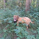 ���� ��������, �����������, 63 ���� - ��������� 19 ���� 2013 � ������ ���� ����������