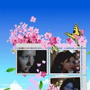 ���� ����, ������ �������� - ��������� 7 ������� 2010 � ������ ���� ����������