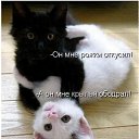 ���� �����, ������, 26 ��� - ��������� 25 ���� 2010 � ������ ���������