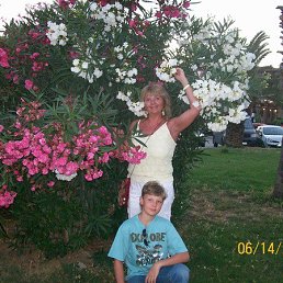 �������, ���������, 68 ���