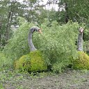 ���� ������, ���������, 62 ���� - ��������� 12 ���� 2012 � ������ �12 �����