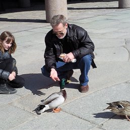 ���� �������� ������, �����-���������, 66 ��� - ��������� 18 ����� 2012