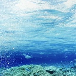 ���� ������, ������ - ��������� 17 ���� 2010