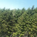 ���� �����, �������, 48 ��� - ��������� 15 ���� 2013 � ������ ���� ����������