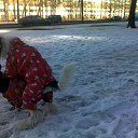 �������� ����� �������) �� ������� ���� �������)�