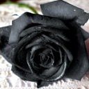 ���� ��������, ������������ - ��������� 28 ������� 2011 � ������ ���� ����������