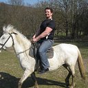 ���� ����� �����, ���������, 43 ���� - ��������� 13 ���� 2013 � ������ ���� ���� ������