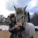 ���� �����, �����-���������, 56 ��� - ��������� 19 ��� 2013