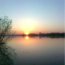 ���� �������, �����, 51 ��� - ��������� 24 ������ 2012 � ������ ���������2011 ���� �����