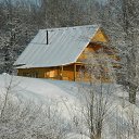 ���� Ne Golosuiu, �����������, 86 ��� - ��������� 31 ������ 2012 � ������ ���� ����������
