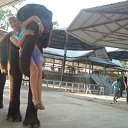 ���� �������, �����������, 70 ��� - ��������� 26 ��� 2012 � ������ ������ � ������ ������� 13 �3 20012�