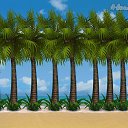 � �� ������� �Tropikania�