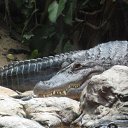 ���� ����, �����-���������, 55 ��� - ��������� 9 ������� 2013 � ������ ���� ����������